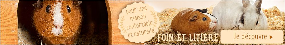 2017_10_RodentCages_CTA_1000x160_FR_1