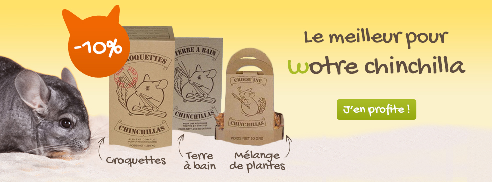 161201_chinchillas-terroin