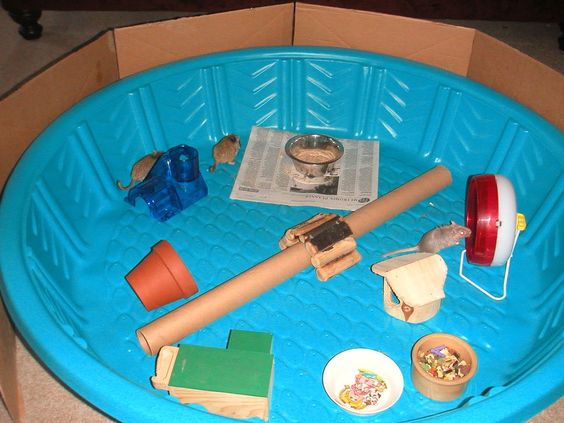 56d0ed5bdbcc1f095b8fe24acc0574c1