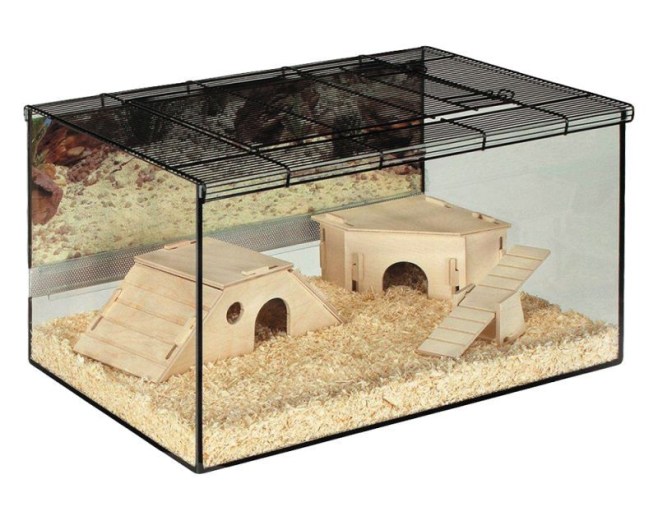 18499_pla_skyline_hamsterterrarium_kerry_1.jpg