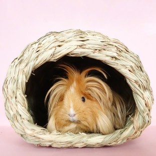 cachette-timothy-bungalow-oxbow