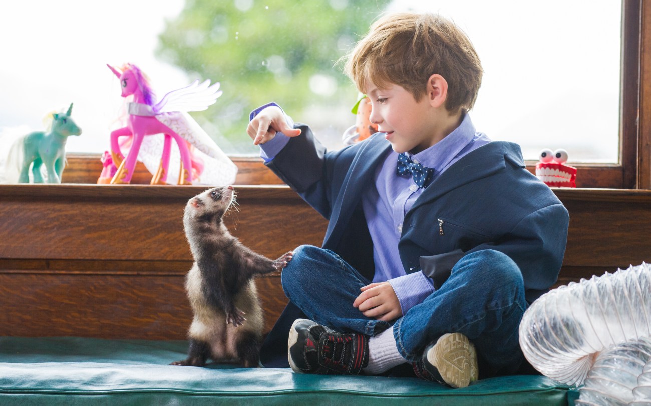furet et enfant