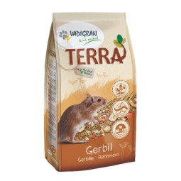 melange-terra-gerbille-vadigran