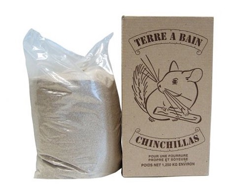 terre-a-bain-pour-chinchillas-chinchillas-du-terroin