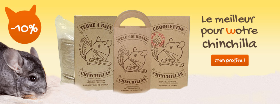 1807-chinchillas-terroin