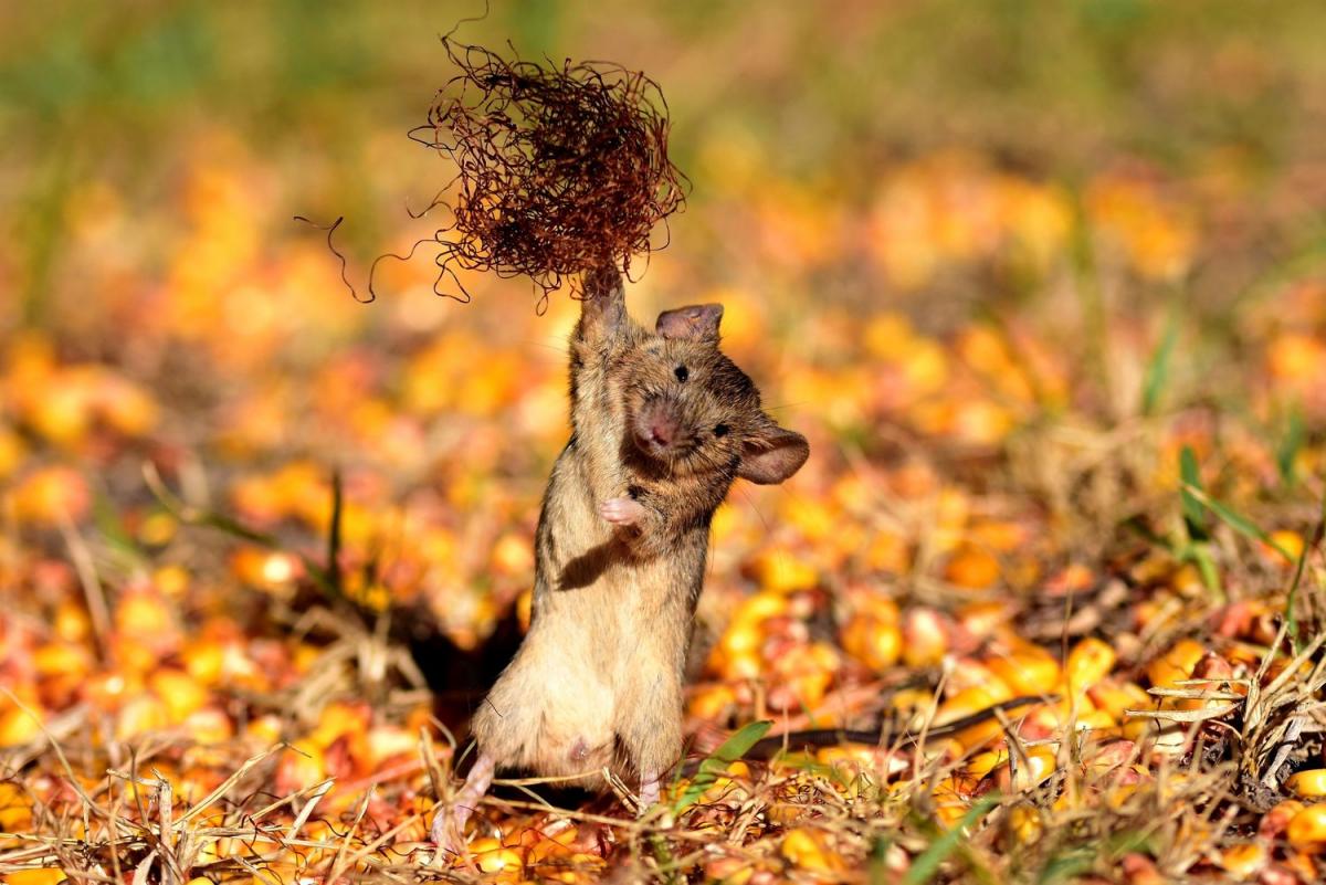 41807195_895156174013389_1491674242486370304_o (1).jpg