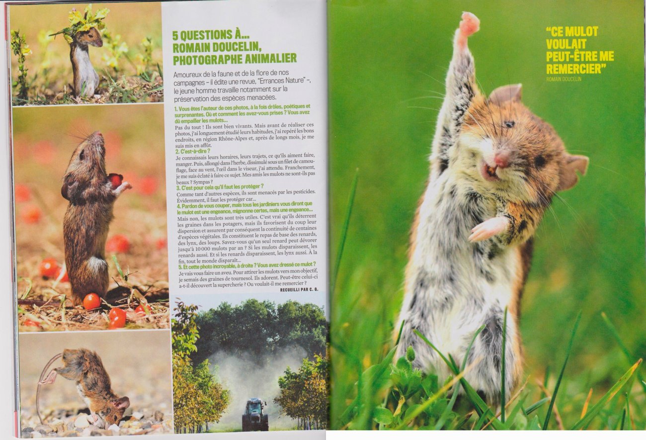 46059124_10209803846611591_2800673613089341440_o