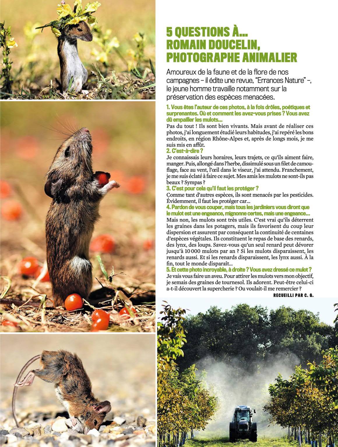 46144268_1995385774085990_6227289222957498368_o (1)