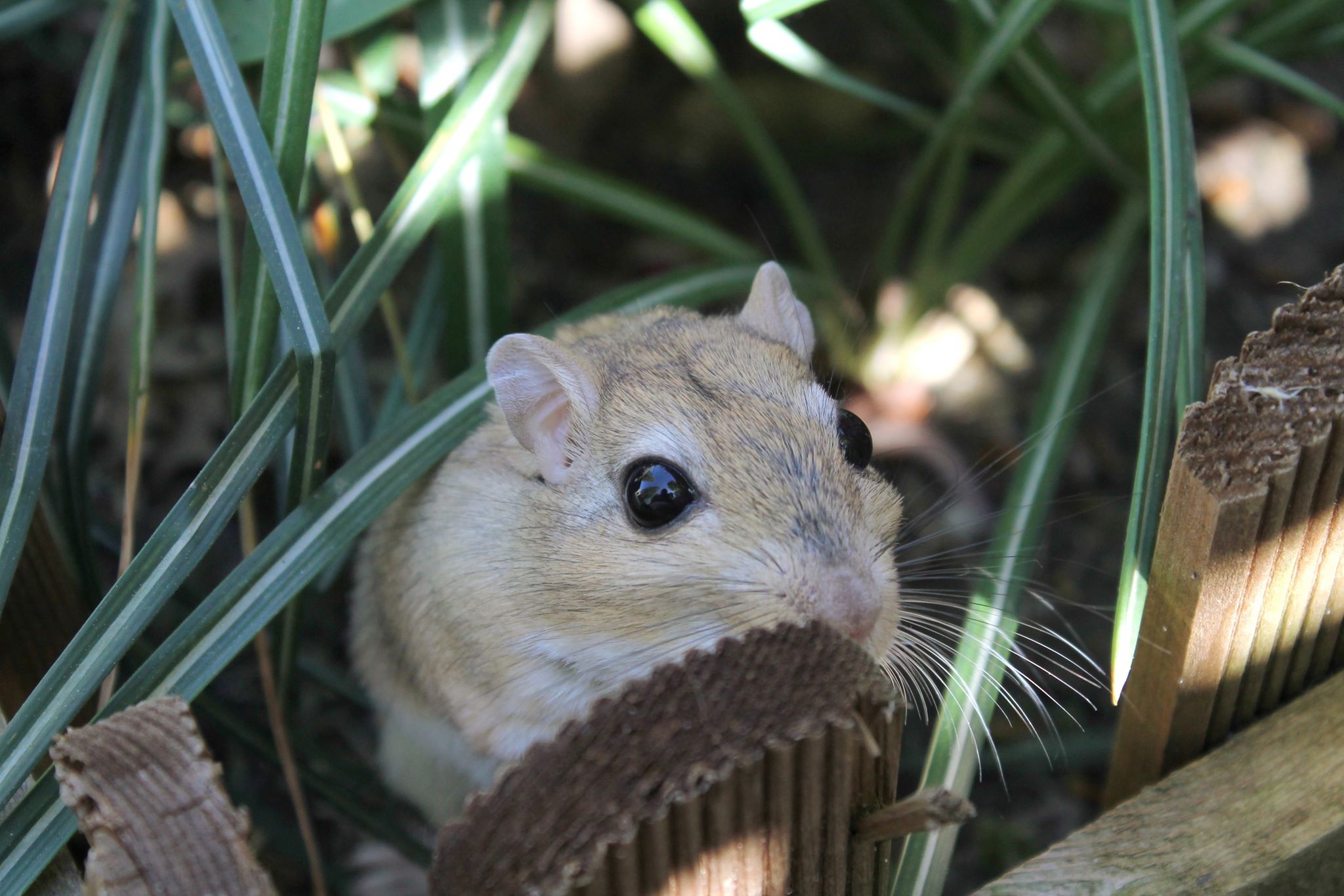 47190332_325274501640482_2929062404748738560_n