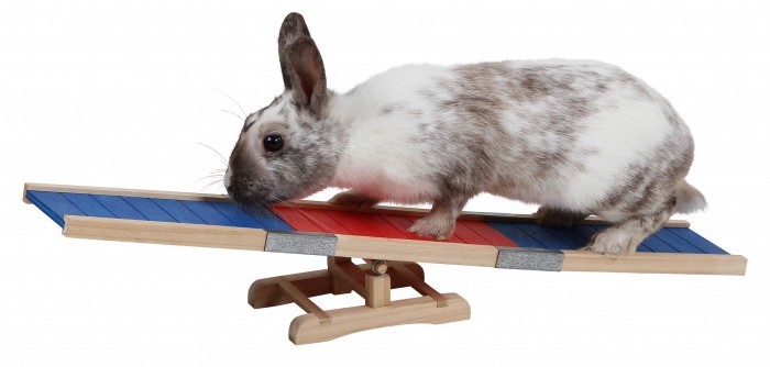 rampe-pour-lapin-agility-kerbl (1)
