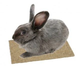 tapis-de-chanvre-kerbl