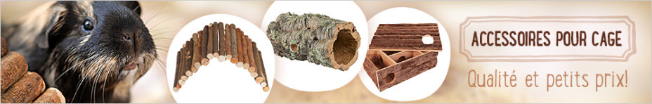 2017_10_RodentAccessories_1000x160_FR